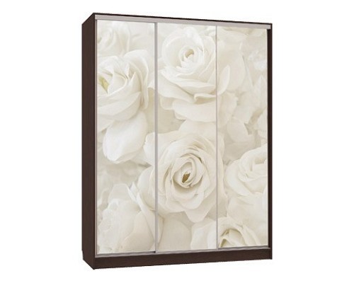 Шкаф-купе Бассо 7-600 розы