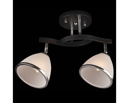 Светильник на штанге Eurosvet Ontario 9612/2 хром/венге