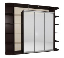 Шкаф-купе Мебелайн-23