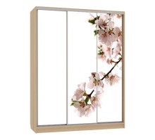 Шкаф-купе 7-600 яблоня