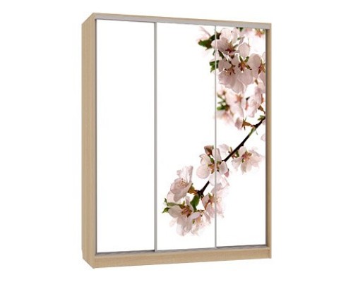 Шкаф-купе 7-600 яблоня