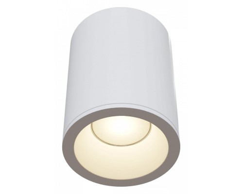 Накладной светильник Maytoni Antares C029CL-01W