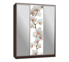 Шкаф-купе Бассо 9-600 83