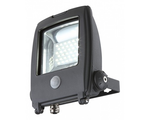 Настенный прожектор Globo Projecteur I 34219S