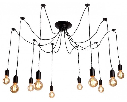 Подвесной светильник Arte Lamp Fuori A9184SP-10BK