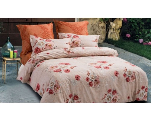 Постельное белье евростандарт B-168