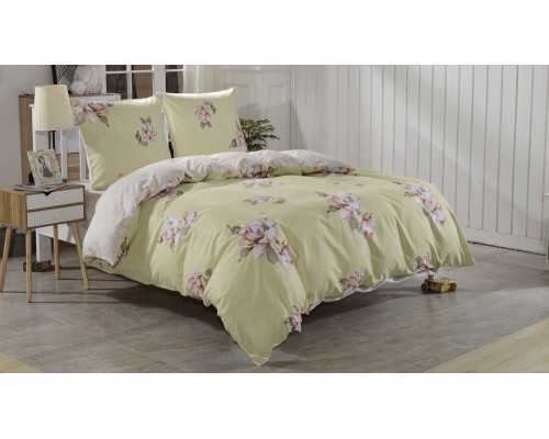 Постельное белье евростандарт CL-285