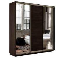 Шкаф-купе Экспресс Медиум