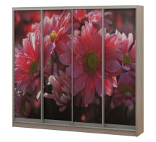 Шкаф-купе Джордано-4 2500x624x2300 мм