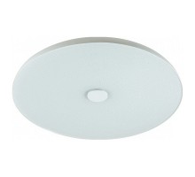 Накладной светильник Sonex Roki Muzcolor 4629/EL