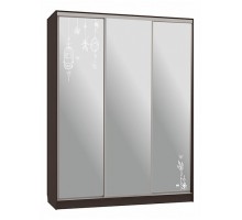 Шкаф-купе Бассо 4-600 птицы