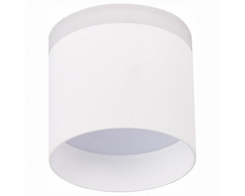 Накладной светильник ST-Luce Panaggio