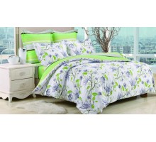 Постельное белье полутораспальное C-229