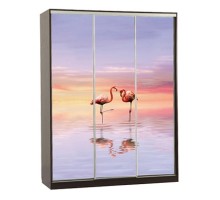 Шкаф-купе Бассо 7-600 19