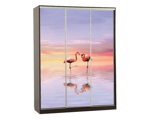 Шкаф-купе Бассо 7-600 19