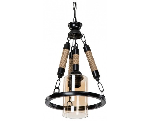 Подвесной светильник TopLight Alanna TL1645H-01BK