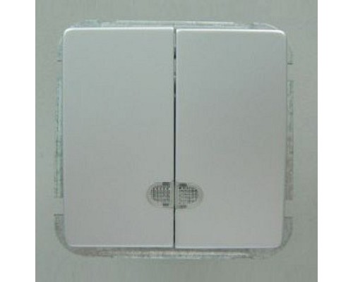 Выключатель двухклавишный без рамки Imex 1188L 1188L-S320