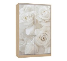 Шкаф-купе Гранд 7-600 розы