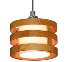 Подвесной светильник Arte Lamp Ring A1320SP-1CC