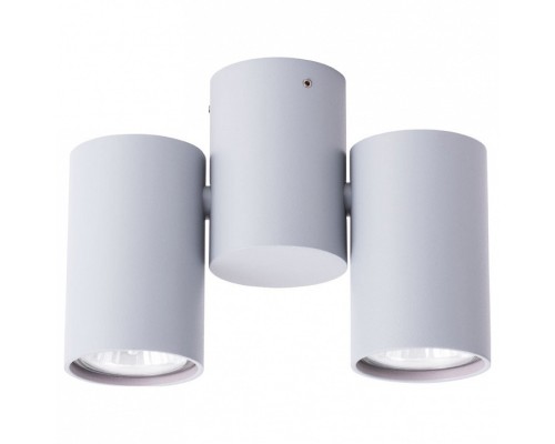 Спот Arte Lamp Gavroche A1511PL-2GY