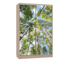 Шкаф-купе Гранд 7-600 57