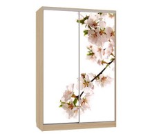 Шкаф-купе Гранд 7-600 яблоня