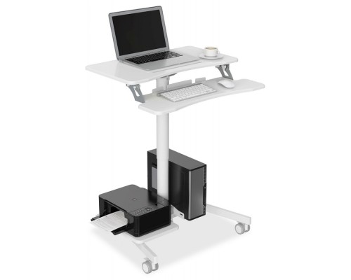 Подставка для ноутбука CS-FDS108WWT