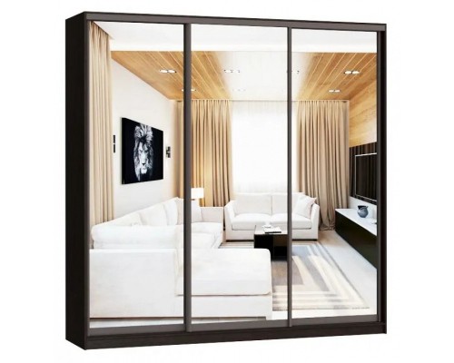 Шкаф-купе А0471494701 2500x580