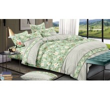 Постельное белье евростандарт Country