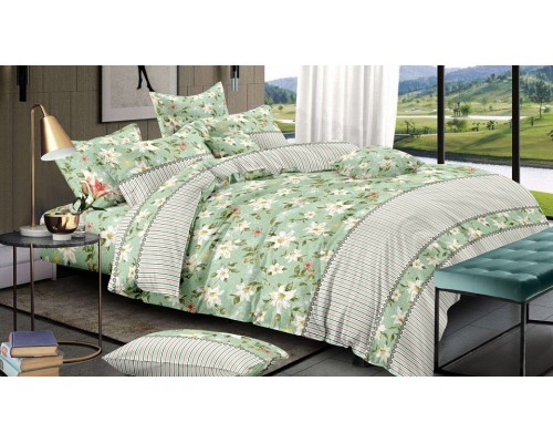 Постельное белье евростандарт Country
