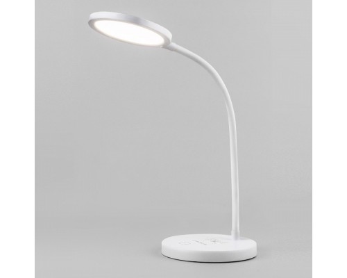 Настольная лампа офисная Elektrostandard Tiara a048742