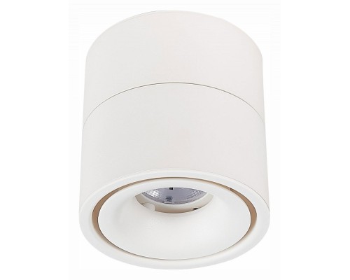 Светильник на штанге ST-Luce ST652 