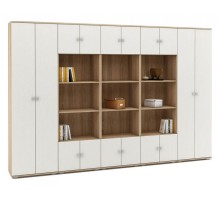 Шкаф комбинированный Тунис-8