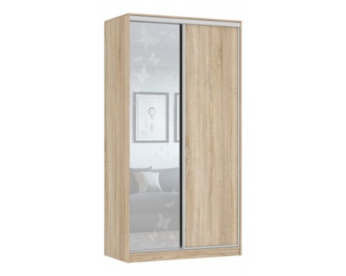 Шкаф-купе Рио 1-600 бабочки