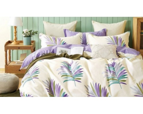 Постельное белье евростандарт С-444