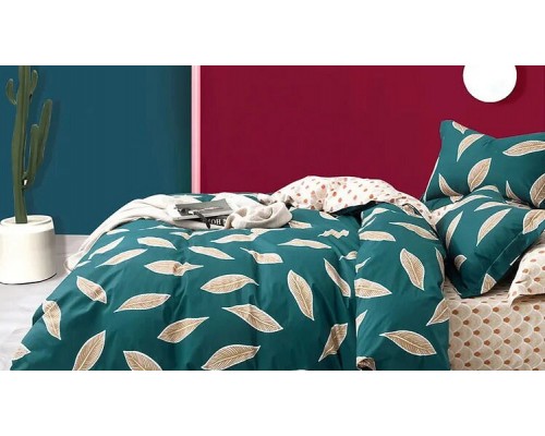 Постельное белье евростандарт №276 Валери