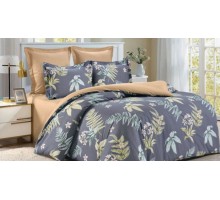 Постельное белье семейное CL-382