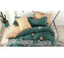 Постельное белье полутораспальное Транспорт