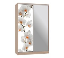 Шкаф-купе Гранд 9-600 83