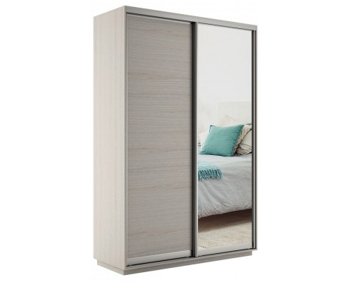 Шкаф-купе Экспресс Медиум дуо