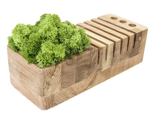 Органайзер (20x8x5.2 см) Мох