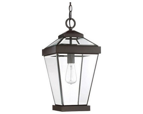 Подвесной светильник Quoizel Ravine QZ/RAVINE8/M