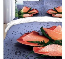 Постельное белье двуспальное Premium-3D