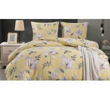Постельное белье евростандарт CL-404