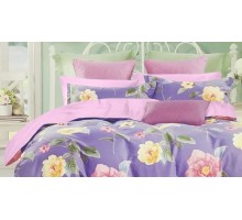 Постельное белье евростандарт Orleans Roquelin