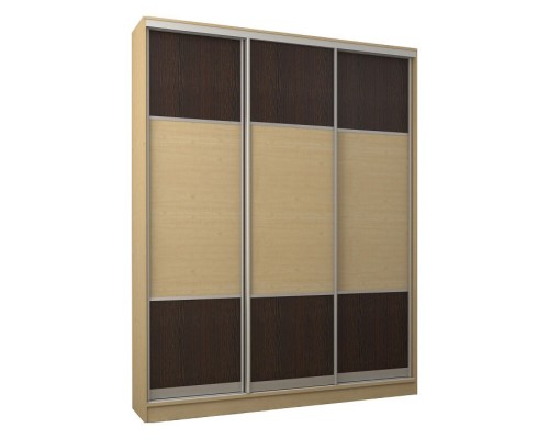 Шкаф-купе Адриано-3.1 1700x624x2400 мм