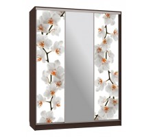 Шкаф-купе Бассо 10-600 83