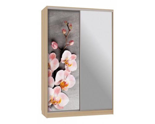 Шкаф-купе Гранд 9-600 78