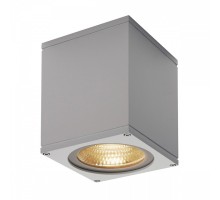 Накладной светильник SLV Big Theo 234524