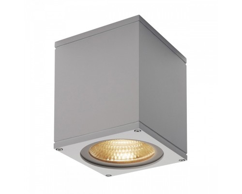 Накладной светильник SLV Big Theo 234524